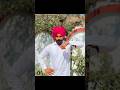 jaildar#vicky ❤️ Preet#sada punjab#viral #shortsvideo