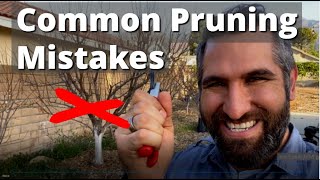 Avoid These 7 Common Tree Pruning Mistakes Winter Prune Your Fruit Trees With Confidence