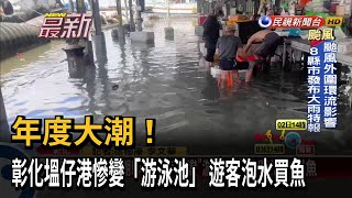 年度大潮！ 彰化塭仔港慘變「游泳池」 遊客泡水買魚－民視新聞