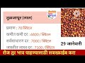 तूर बाजार भाव वाढले 29 जानेवारी 2025 tur bhazar bhav today महाराष्ट्रा तूर भाव असे...तेजी येणार