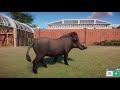 プラネットズーでまったり楽しく動物園づくり【planet zoo】 1 イボイノシシ