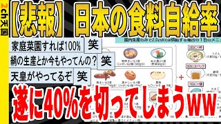 【2ch面白いスレ】【悲報】日本の食料自給率、遂に40％を切ってしまうｗｗｗｗｗｗｗｗｗ　聞き流し/2ch天国