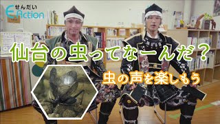 仙台の虫ってなーんだ？虫の声を楽しもう