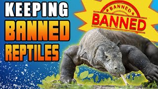 KEEP KOMODO DRAGONS LEGALLY! Should We Be Able To PRIVATELY Keep Any Reptile/Animal?!