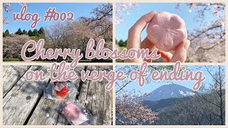 【お散歩】あづま総合運動公園と桜と  −Cherry blossoms on the verge of ending−