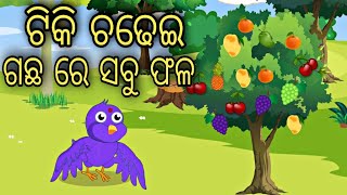 Tiki Chadhei gacha re sabu phala || Odia Stories || Odia Gapa || Aaima Gapa Kahani