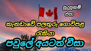 කැනඩාවේ පලතුරු ගොවිපළ රැකියා. පවුලේ අයටත් වීසා fruit farm foreign job vacancies in canada free visa