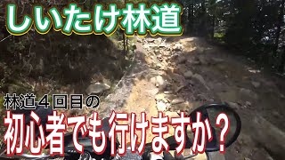 【モトブログ】vol.046 超初心者はKLX125でしいたけ林道を走破出来るのか？