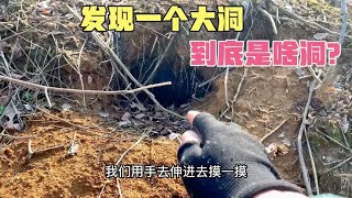 农村人小土堆边发现一个新刨的洞，拿手伸进去摸，你猜会怎样？