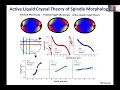 Dan Needleman: Active Matter, Microtubules and Cell Division Part 2