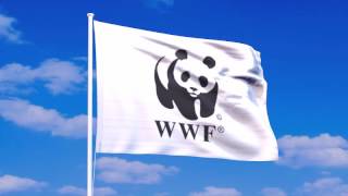 世界自然保護基金（WWF）の旗