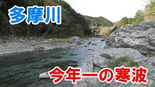 【渓流釣り】今年一番しばれる中で多摩川渓流釣り…