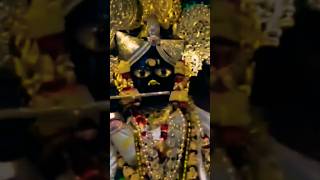 💦बाँकेबिहारी श्रीवृन्दावन में हाए मेरा दिल खो गया |#youtube#viral#radha#bankebihari#shorts#vrindavan