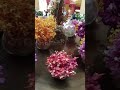 Vlog #1041 Orchids In A Hanging Glass Vase