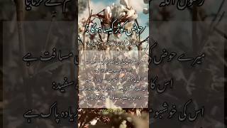 Hoz e Kosar || Rasool Allah Saww ka Farman #ytshorts #ahlebait #farmanrasool