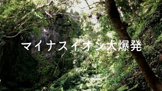 アラサー無職の免許合宿旅