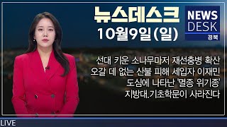 2022.10.10(월) 뉴스데스크 / 안동 MBC