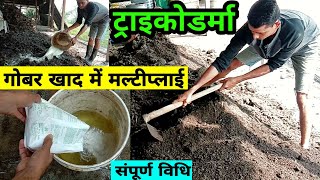 How to multiply TRICHODERMA in Compost | ट्राइकोडर्मा को गोबर खाद में मल्टीप्लाई करने का सही तरीका