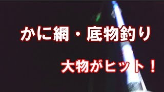 平塚新港でカニ網釣りをしてみた。奇跡！？