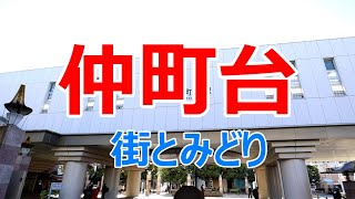 仲町台　街とみどり