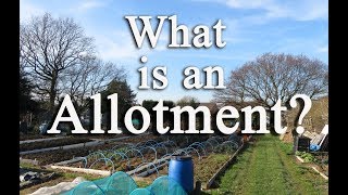 What is an allotment? Growing food in the UK