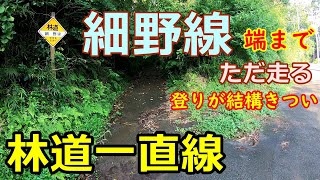 【林道一直線】　千葉　林道　細野線