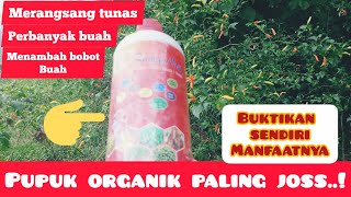 pupuk organik cair paling Bagus, dan kuat, WAJIB DI COBA.!#pupukcairorganik #pupukorganik