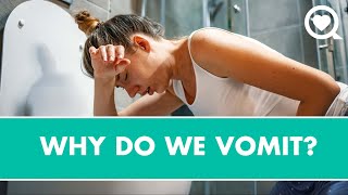 Why Do We Vomit?