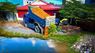 Perfectly Start a New Project! Landfill on Flooded by KOMATSU Dozer D20P \u0026 5Ton Truck Pushing Soil