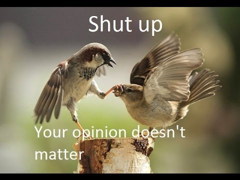 Presuppositionalism Implodes Youtube