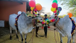 kodavandla palli lo Banda laguthunna videos