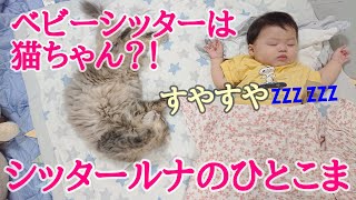 【生後9か月】ベビーシッター ネコが本気で育児【スマホ縦動画】