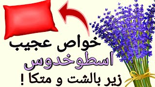 خواص عجیب و فوق العاده اسطوخدوس