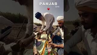 Pakhe Chalde || Jass Bajwa || New punjabi song 2023 || #punjabisong #punjabistatus #punjabishorts