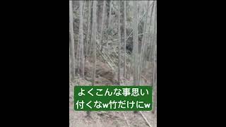 【竹に爆竹】バラバラ動画#竹#爆竹#shot #shots