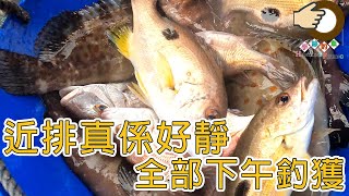 #254 A leisure fishing trip!  | HK Fishing | BoatGame | Victoria Harbour