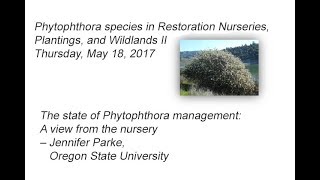 The state of Phytophthora management: A view from the nursery