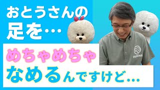 【犬のしつけ】足をめちゃくちゃなめる【悩み相談ライブ切り抜き】