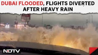 Dubai Flood News: Dubai Under Water, Incoming Flights Diverted, Cars Abandoned On Road