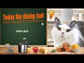 Famous Cat Chef For Cooking Stew-pot - Delicious