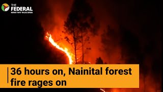 Fire destroys over 33 hectares of Nainital forest in Uttarakhand | The Federal