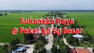 Sukaneka Raya @ Peket 60 Sg Besar #djimini2se