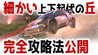 [WRC Generations] 細かく上下する起伏の丘が多いコースの完全攻略法公開！ [Setup][175 Rank][Finland][Toyota Yaris GR Rally1]