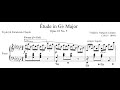 Chopin - Etude Op.10 No.5 (Black Key) 黑鍵練習曲 鋼琴版