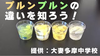 【おうちで自由研究フェスタ2021】プルンプルンの違いを知ろう！　提供：大妻多摩中学校