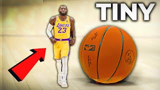 I Made Lebron TINY