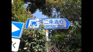 【埼玉】栄二条通り（新座市）・復路を歩く　walking back on Sakaenijo-dori Street, Saitama