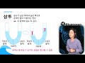 52. 삼투 삼투 농독낮은쪽에서 농도가높은곳으로 물이이동 농도차감소 용매통과가능 용질통과불가능 세포와삼투 등장액 저장액 고장액 세포막과세포벽분리