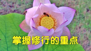 掌握修行的重点   《陈明安传教士弘法摘录》   [唯佛宗世界人乘佛教]