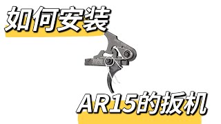 【王老师聊枪】AR15半自动步枪（十九）组枪时如何将扳机安装进lower receiver